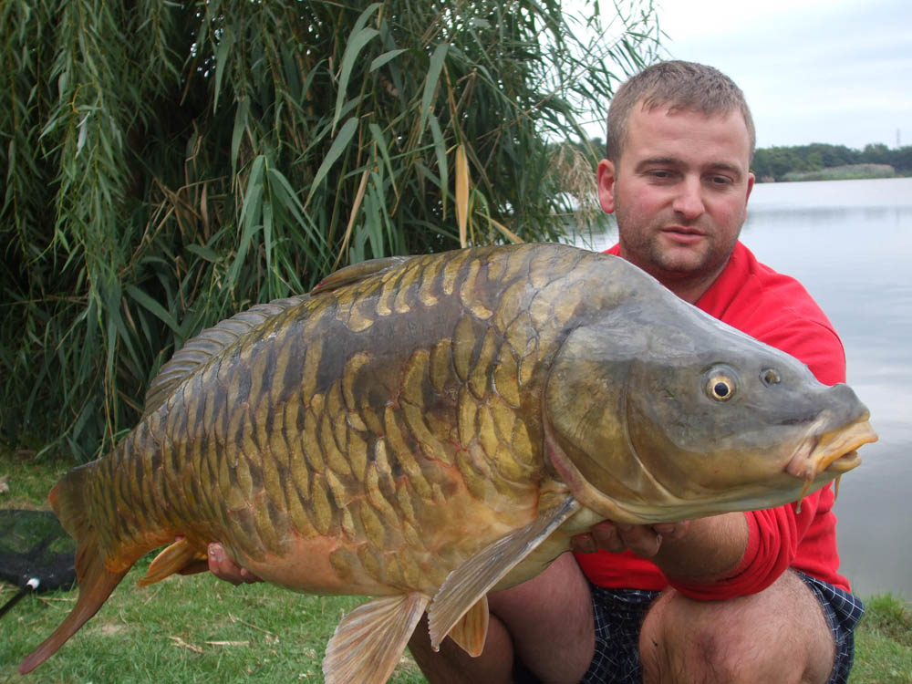 BRIGADA DIVERSE  - DSCF4262.JPG